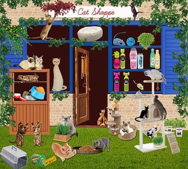 Conseil clientèle et ventes en animalerie